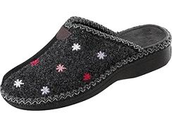  ASTER ANTHRACITE